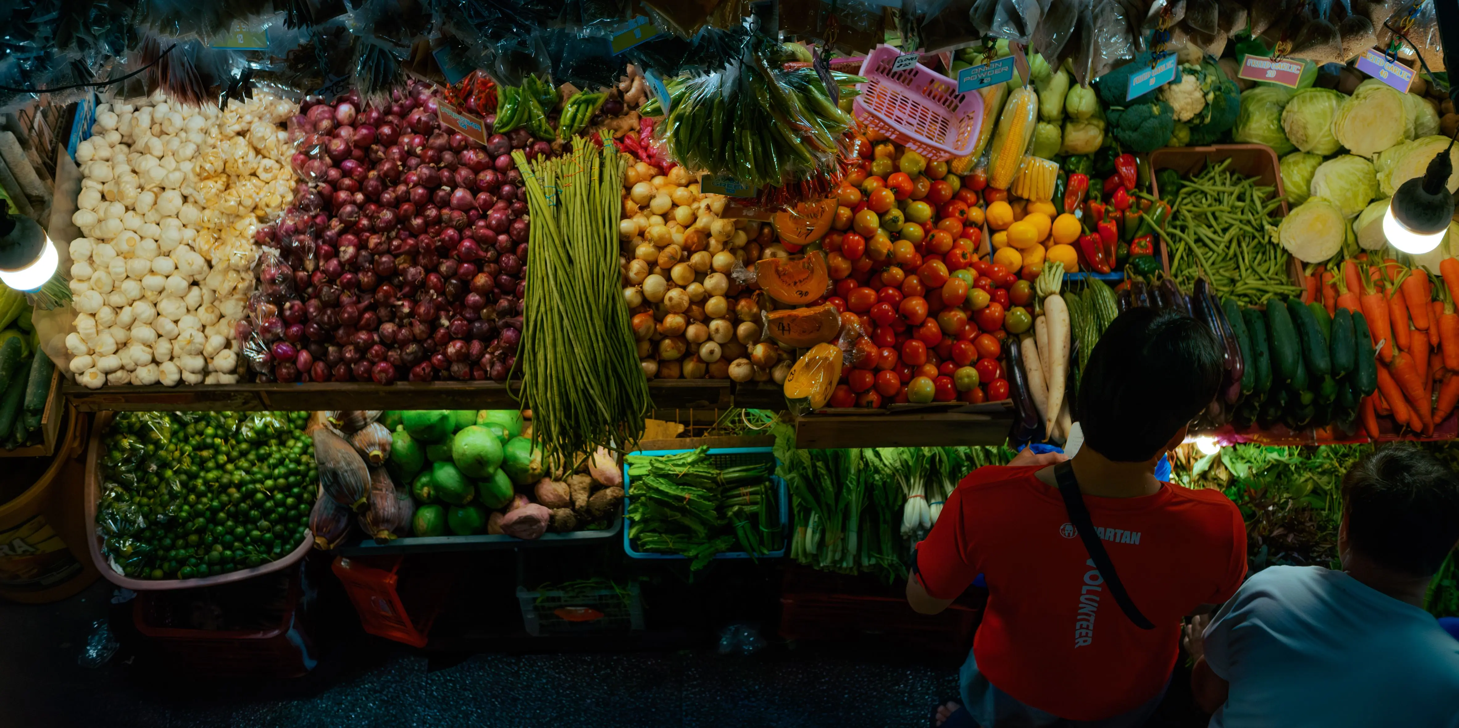 Berbagai sayuran segar berkualitas dari Disma Fresh